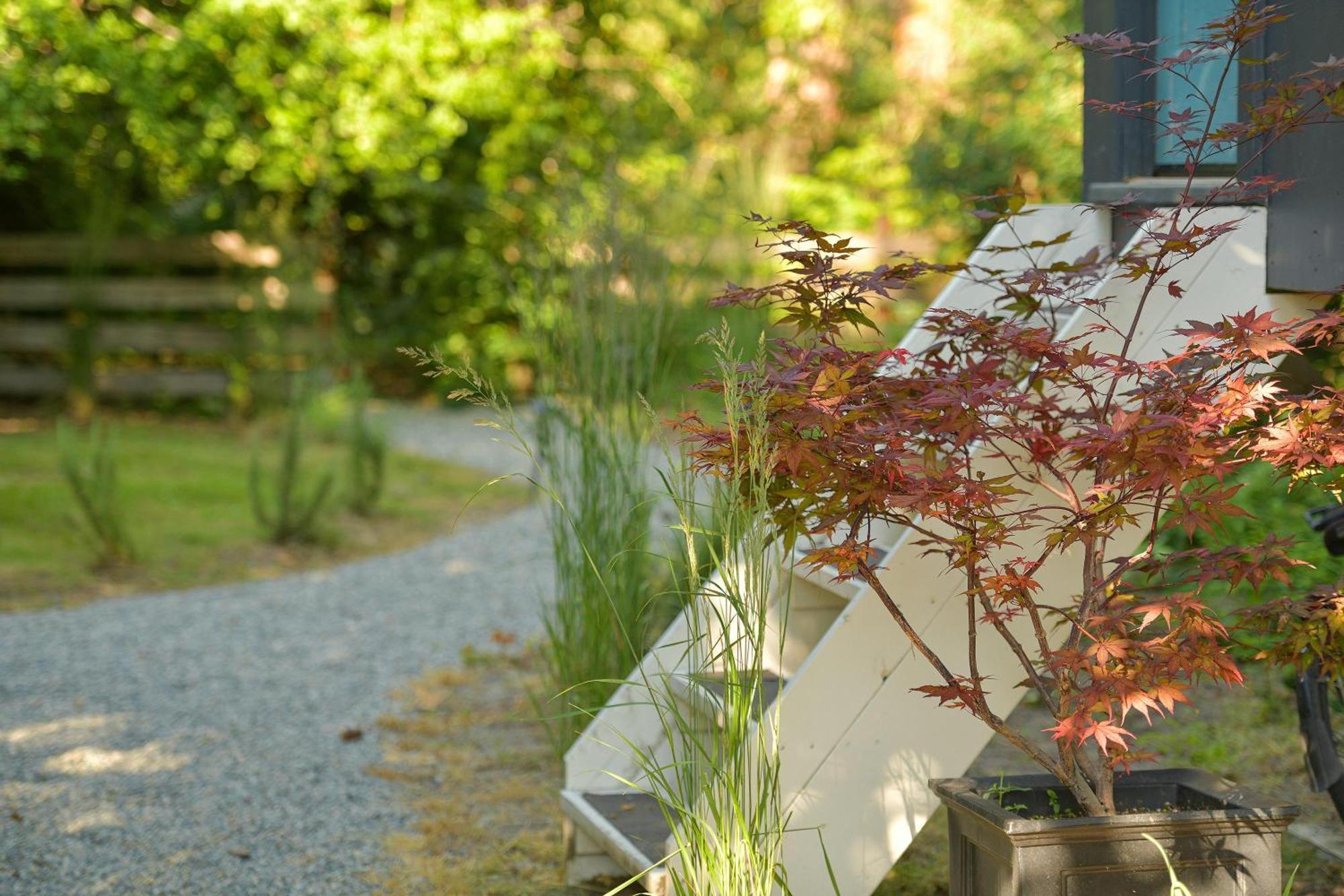 North Saanich The Bayside Cottage מראה חיצוני תמונה